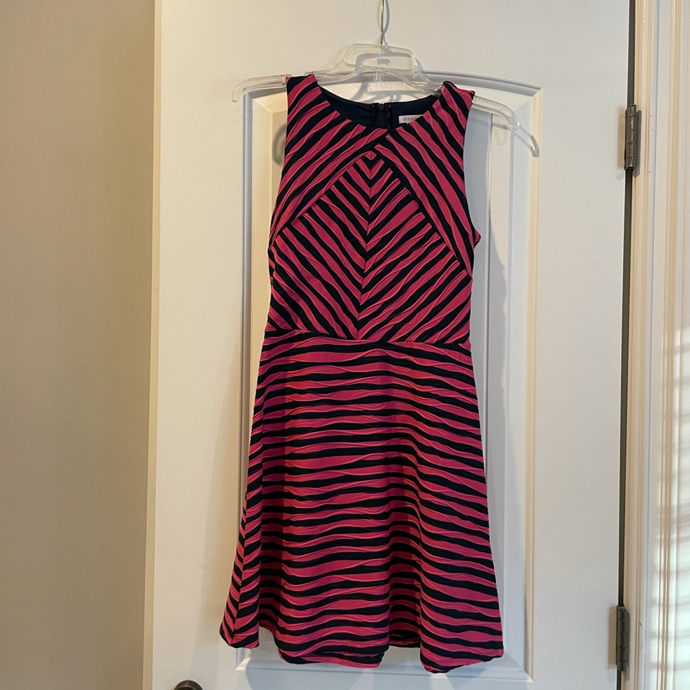 Pink and Navy mini dress